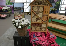 Rondom de verschillende productielocaties van Hortinno zaait men al enkele jaren wilde bloemen. Een imker heeft er bijenkasten bij geplaatst en nu de nodige potjes honing gevuld, die op de FlowerTrials deels werden weggegeven.