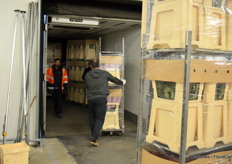 Men werkt samen met de logistiek dienstverlener Getru, een bedrijf dat veel rijdt in & op Spanje en Portugal. Vanuit Aalsmeer nemen de vrachtwagens doorgaans bloemen en planten mee terug, die op het Iberisch schiereiland verkocht worden. In die zin is de vraag vanuit Aleia erg welkom