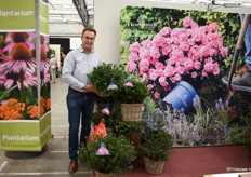 Veredelaar Stefan Laridon van Hortinno met de Azalea’s. De Evergreen line verliest zelfs in de winter zijn kleur niet.