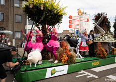 De drie biggetjes waren onderdeel van de praalwagen "polder" 