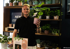 De Thai Constellation Monstera zijn een populaire soort. 