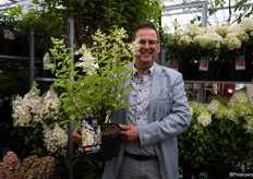 Hydrangea Paniculata Confetti, een vrolijk plantje