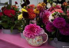 Ook dahlia's waren te vinden op de beurs