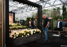 Er was altijd wel een gesprek gaande bij de stand van Groundbreaker, de eerste bodembedekkende Hydrangea Paniculata