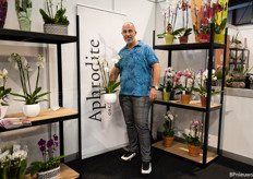 Dennis van Aphrodite Orchidee