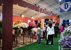 De Cantiza stand met hun alpaca's was een populaire fotoplek