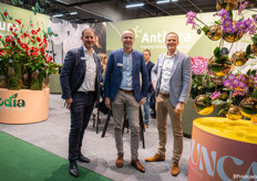 Stefan de Hoog, Robert Kuijf en Erwin Koopstra van Anthura waar ze naast de anthuriums ook de Phalaenopsis in de spotlight zetten. 